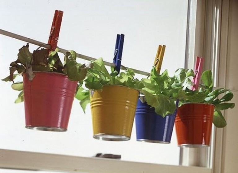 Diy Herb Garden Readymade Grow It Eat It Herbs Garden Diy in Indoor Container Garten Ideen - wallpinHOME